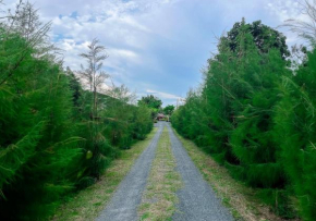 North Pine Forest Homestay บ้านไม้สนโฮมสเตย์